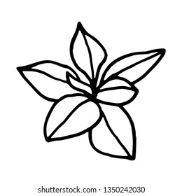 Hand drawn small leave. Vector illustration