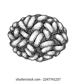 Hand drawn smallpox, monkeypox virus isolated on white background. Realistic detailed scientifical vector illustration in sketch stile