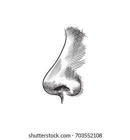 Hand Drawn Smell Sketch Symbol. Vector Nostril  Element In Trendy Style.