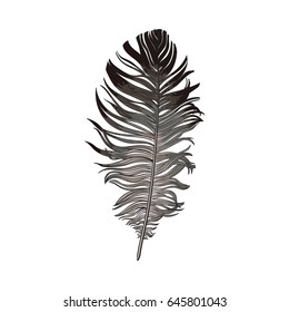 Hand drawn smoth black and grey dove bird feather, sketch style vector illustration on white background. Realistic hand drawing of grey bird feather