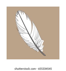 Hand drawn smoth, black and white tropical, exotic bird feather, sketch style vector illustration on brown background. Realistic hand drawing of parrot, bird feather