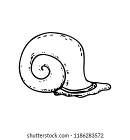 Hand drawn snail doodle icon. Hand drawn black sketch. Sign symbol. Decoration element. White background. Isolated. Flat design. Vector illustration.