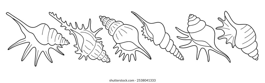 Hand drawn snail shell Outline black. doodle  sea shells set with doodle style.