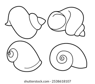 Hand drawn snail shell Outline black. doodle  sea shells set with doodle style.