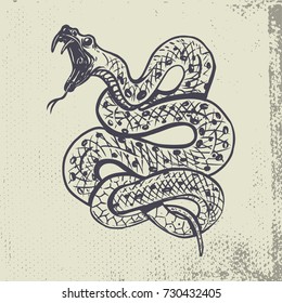 Hand drawn snake illustration on grunge background. Design element for poster, t shirt. Vector illustration