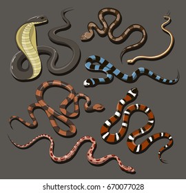 Hand drawn Snake set