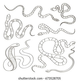 Hand drawn Snake set
