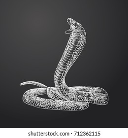 Hand Drawn Snake Sketch Symbol isolated on chalkboard. Vector Amphibian and reptiles Element In Trendy Style