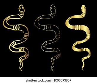 Hand drawn snake vector Illustration on black background.Golden snake cobra tattoo.Hand drawn snake with cherry blossom and cloud vector 