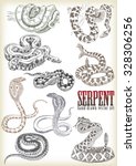 Hand drawn snake vector set