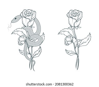 Hand drawn snake wrapped around a rose. Floral vector illustration in vintage style  for covers,  t-shirt design, fabrics, notebooks and cards.