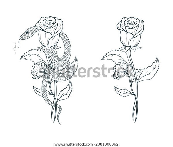 Vektor Stok Hand Drawn Snake Wrapped Around Rose (Tanpa Royalti) 2081300362...