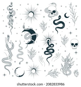 Hand drawn сelestial snakes and flowers collection. Mystical witchy vector isolated set for tattoo,  t-shirt design, fabric.