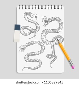 Hand drawn snakes on realisic notebook page with pencil and eraser. Animal serpent tattoo sketch, reptile drawing viper, vector illustration