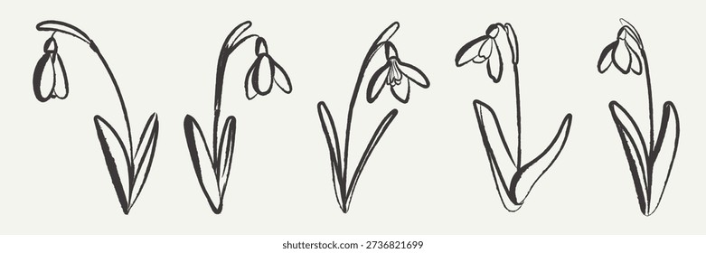 Hand drawn snowdrop flowers