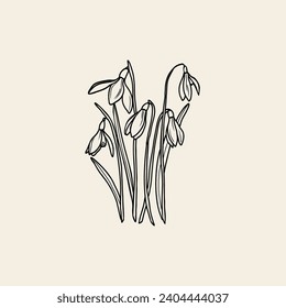 Hand drawn snowdrop flowers illustration