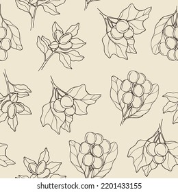 Hand drawn soapberry, shea, candlenut seamless pattern