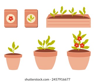 Hand drawn sowing and growth of flower seedlings clipart collection. Taking care of plants concept. Vector illustration isolated on white background.


