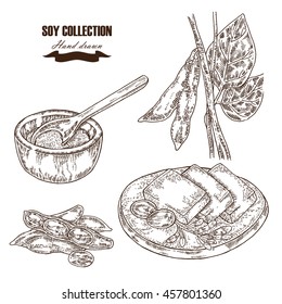 Hand drawn soy plant, soybeans and tofu. Vector illustration