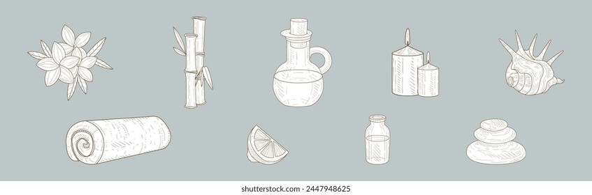 Conjunto de Vectores de atributos de spa y elementos de esbozo dibujados a mano