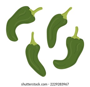 Hand drawn spanish national food. Green pepper in different positions. Doodle cartoon colored vector illustration isolated on white.