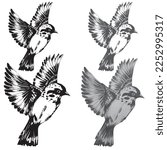 Hand Drawn Sparrow Bird Vector. Hand drawn minimalism style vector illustration of Sparrow bird. This file contains high quality black and white, Sketch type vector. Editable and reusable vector image