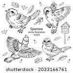 Hand drawn sparrow doodle set. Black and white line bird collection. Vector illustration.