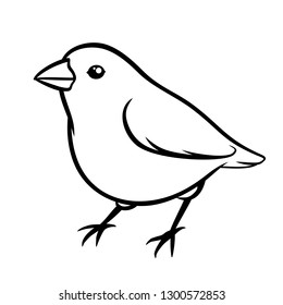 Hand drawn sparrow. Line art design silhouette. Vector sketch illustration