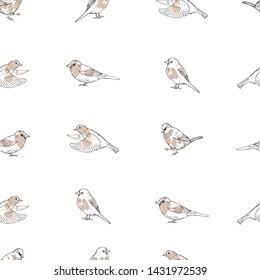 Hand drawn sparrows. Vector  seamless pattern