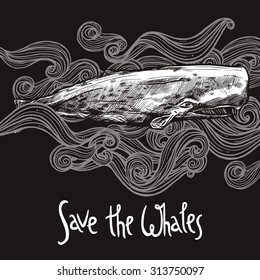 Hand Drawn Sperm Whale On Chalkboard