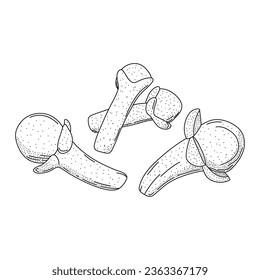 Handgezogene Gewürzwolken-Set. Gewürzwolken-Doodle-Stil einzeln auf Vektorgrafik
