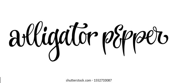 Hand drawn spice label - alligator pepper. Vector lettering design element. Isolated calligraphy script style word.