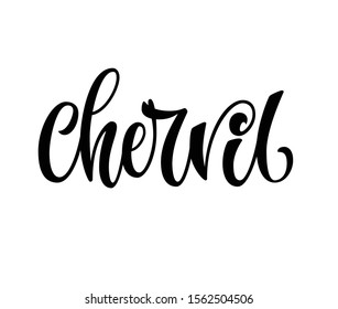 Hand drawn spice label - chervil. Vector lettering design element. Isolated calligraphy script style word for labels, shop design, cafe decore etc