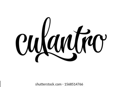 Hand drawn spice label - Culantro. Vector lettering design element. Isolated calligraphy script style word for labels, shop design, cafe decore etc