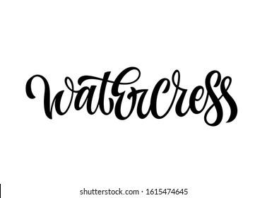 Hand drawn spice label - Watercress. Vector lettering design element. Isolated calligraphy script style word for labels, shop design, cafe decore etc