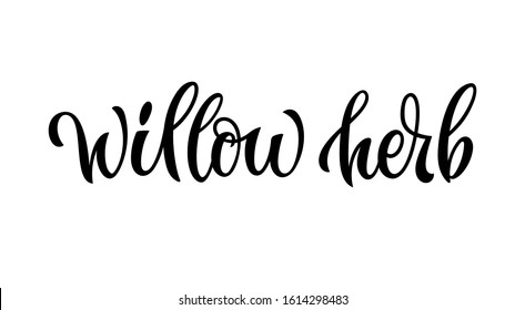 Hand drawn spice label - Willow herb. Vector lettering design element. Isolated calligraphy script style word for labels, shop design, cafe decore etc