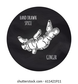 Hand drawn spice vector illustration. Black and white clove ginger on blackboard backdrop