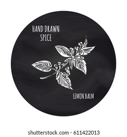 Hand drawn spice vector illustration. Black and white lemon balm branch icon on blakboard backdrop