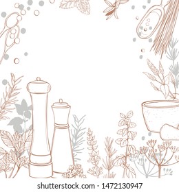 Hand drawn spices and herbs. Vector sketch  illustration.