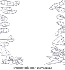 Hand drawn spiceTurmeric. Vector background.