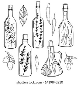 Hand drawn spicy oils with herbs and spices in different bottles.  Vector sketch  illustration.