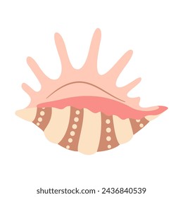 Hand drawn Spider Conch Seashell. Cartoon style flat illustration seashell isolated on white background. Vector illustration