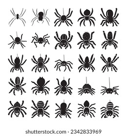hand drawn spider illustration isolated on white background.