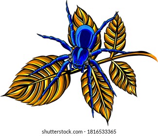 Hand Drawn Spider Illustration - Vector Design For Halloween And Other Compositions.