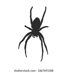 Hand Drawn Spider Illustration - Vector Design Element For Halloween And Other Compositions. spider vector sketch illustration