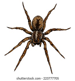 73,523 Scary spider cartoon Images, Stock Photos & Vectors | Shutterstock