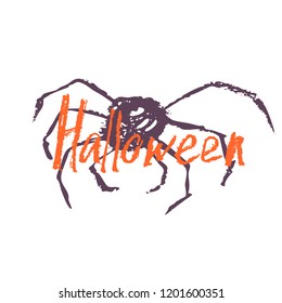Hand drawn spider with lettering Halloween on white background. Can be used for poster, banner, flyer, invitation and web design. Vector illustration.