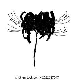 Hand drawn spider lily silhouette isolated on white