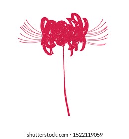 Hand drawn spider lily silhouette isolated on white