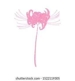 Hand drawn spider lily silhouette isolated on white
